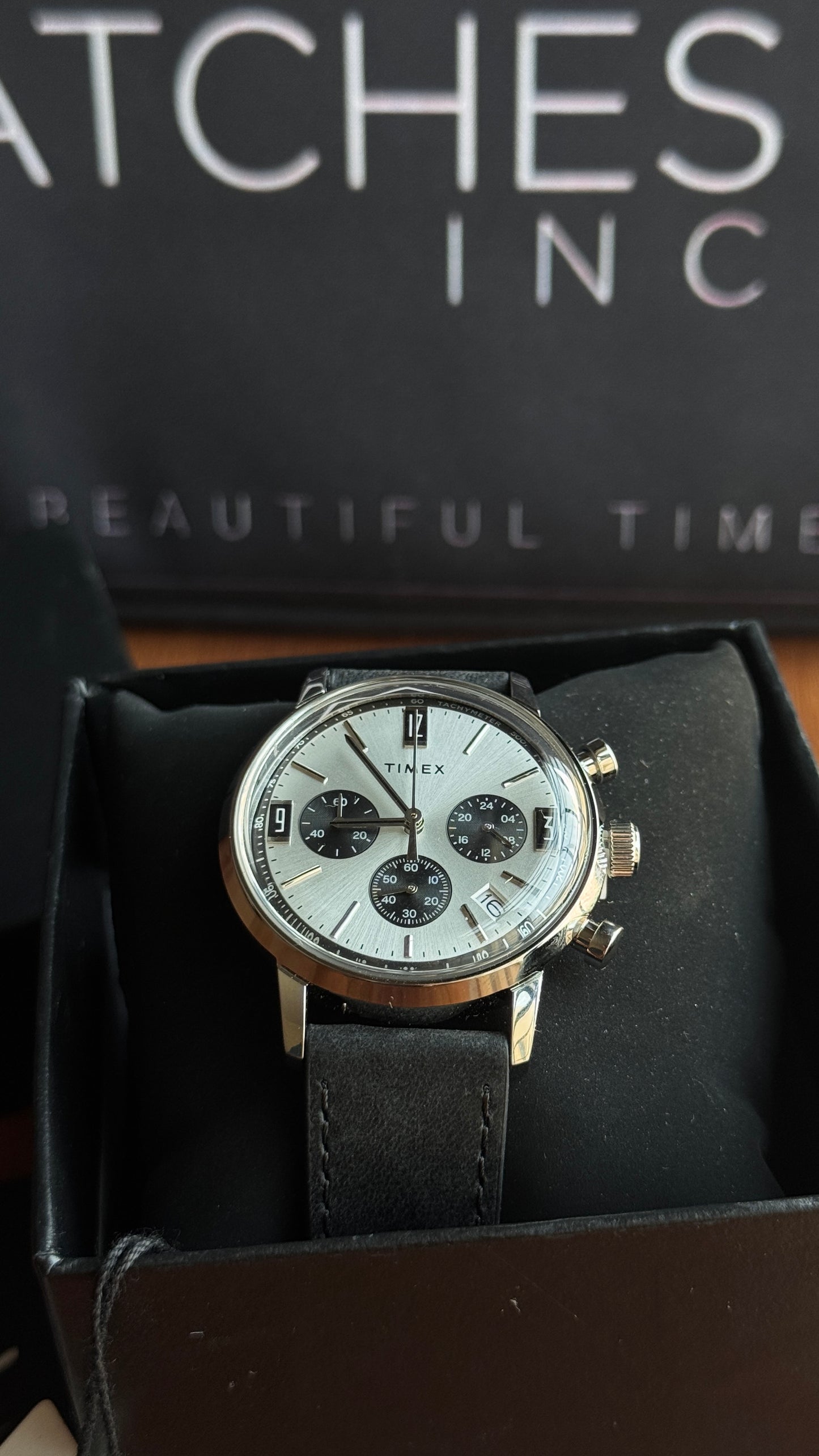 Timex Marlin Panda