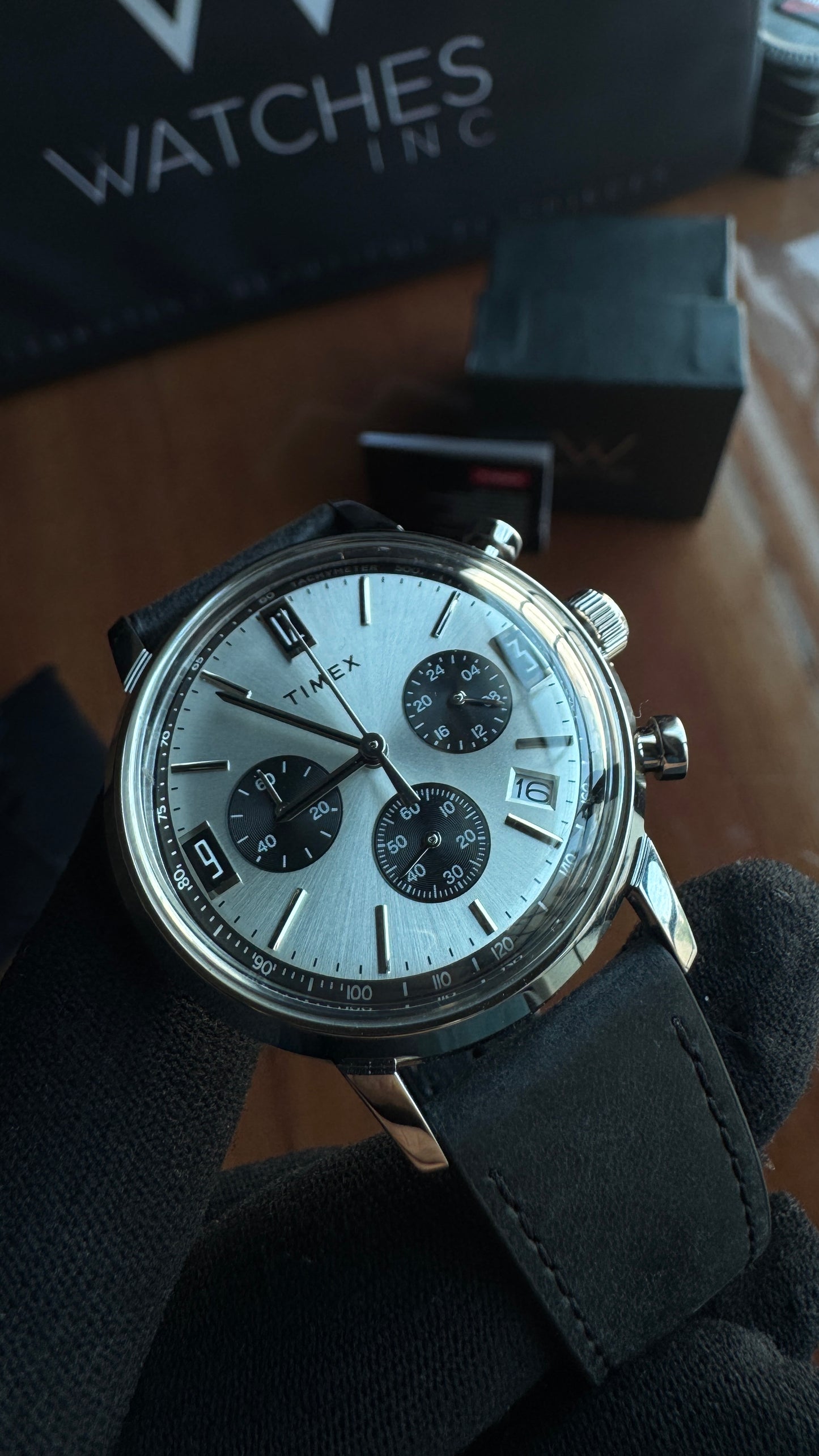 Timex Marlin Panda