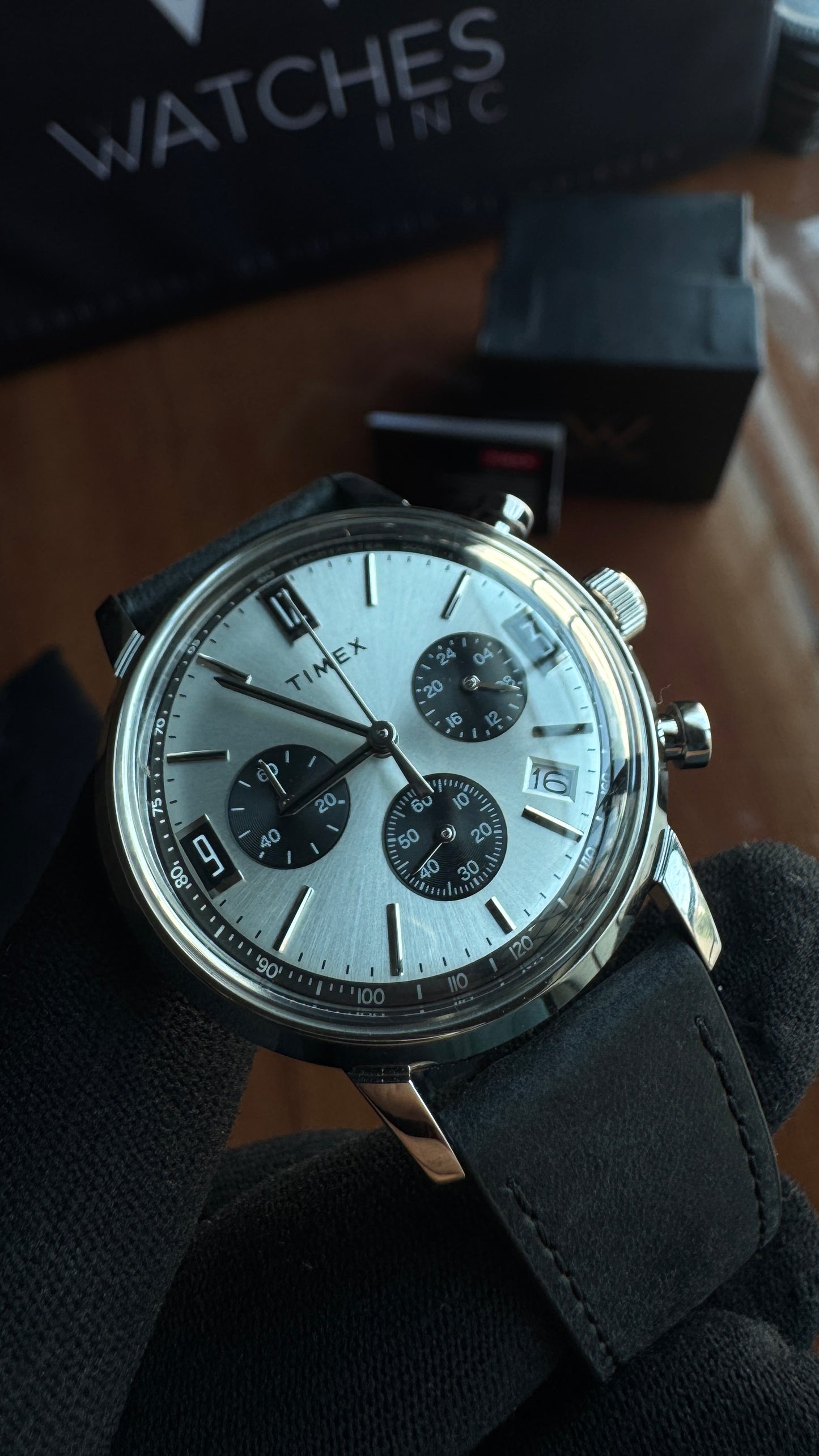 Timex Marlin Panda
