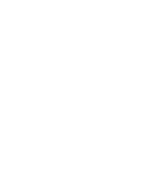 Watches Inc