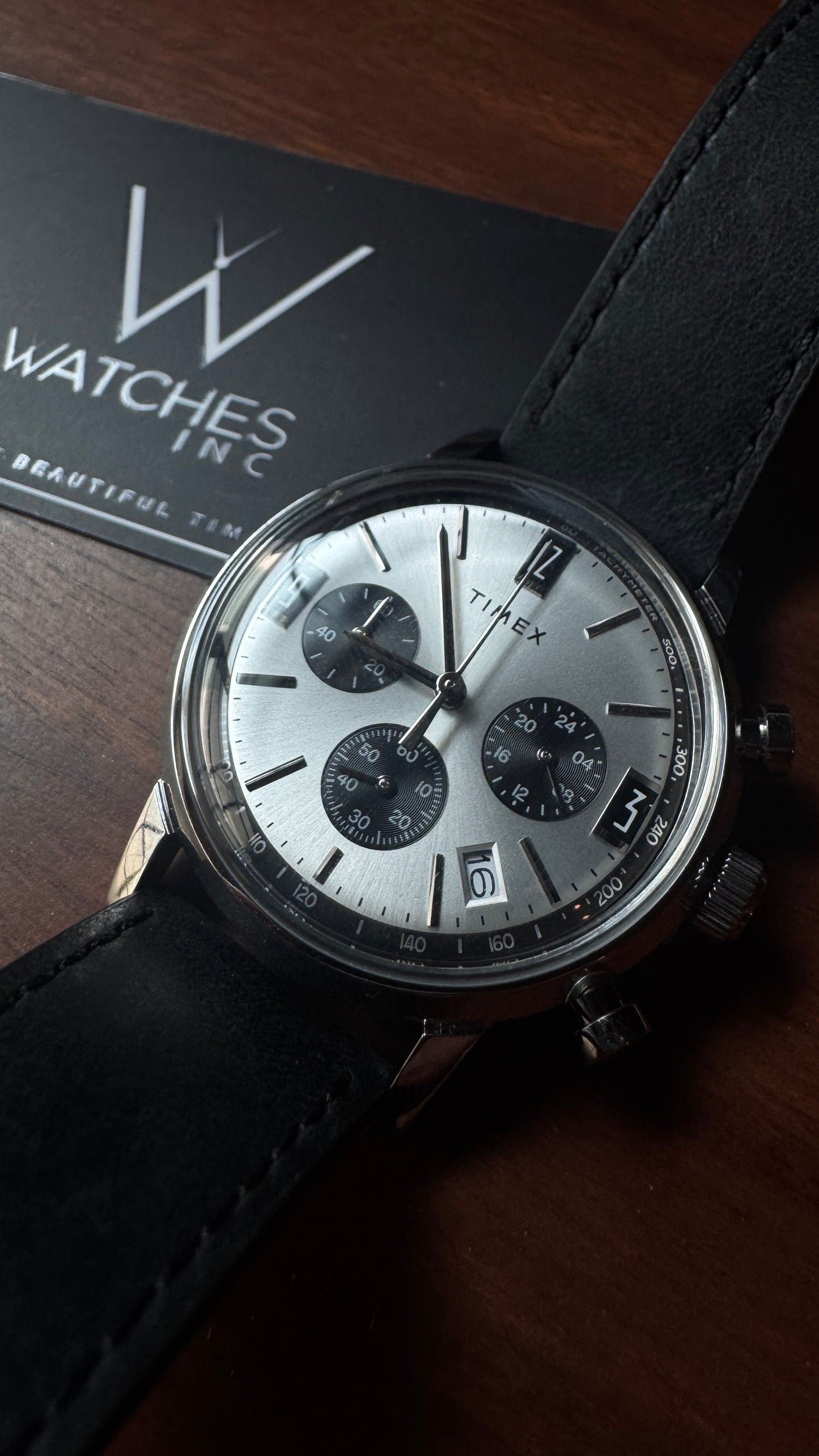 Timex Marlin Panda