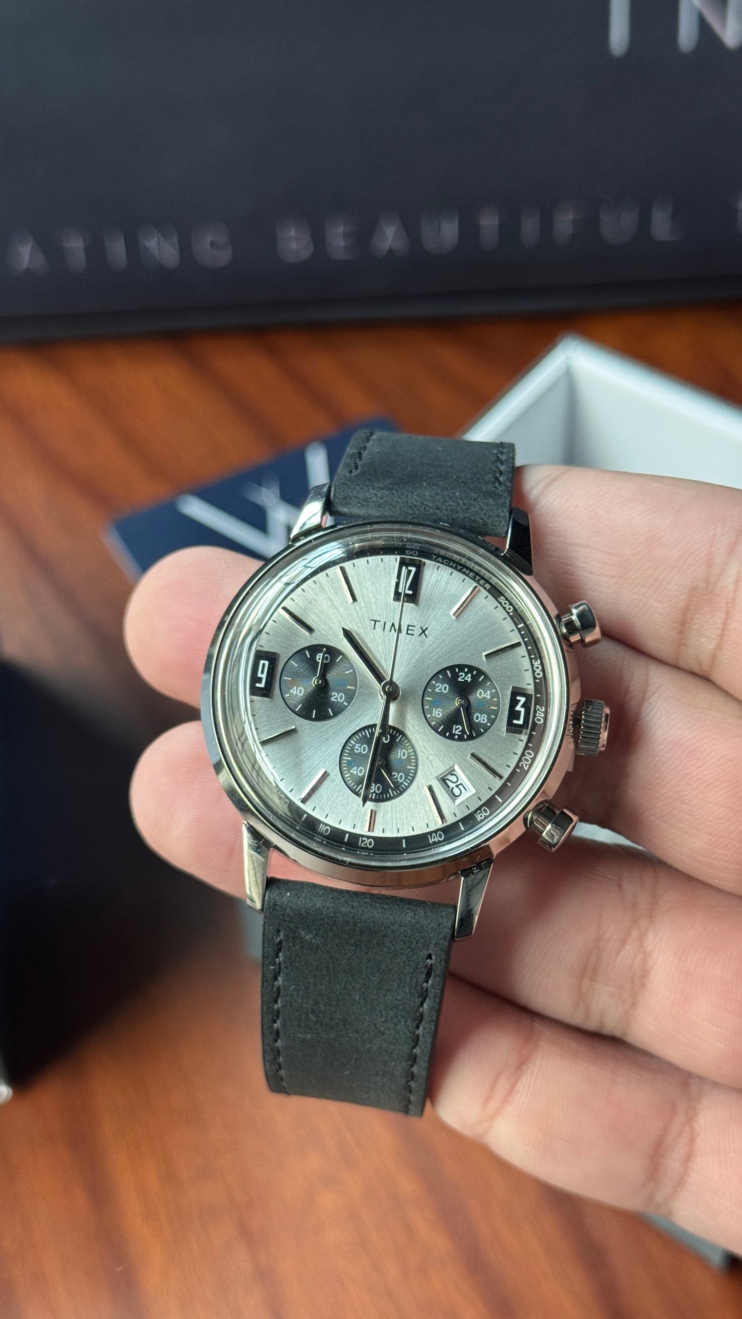 Timex Marlin Panda