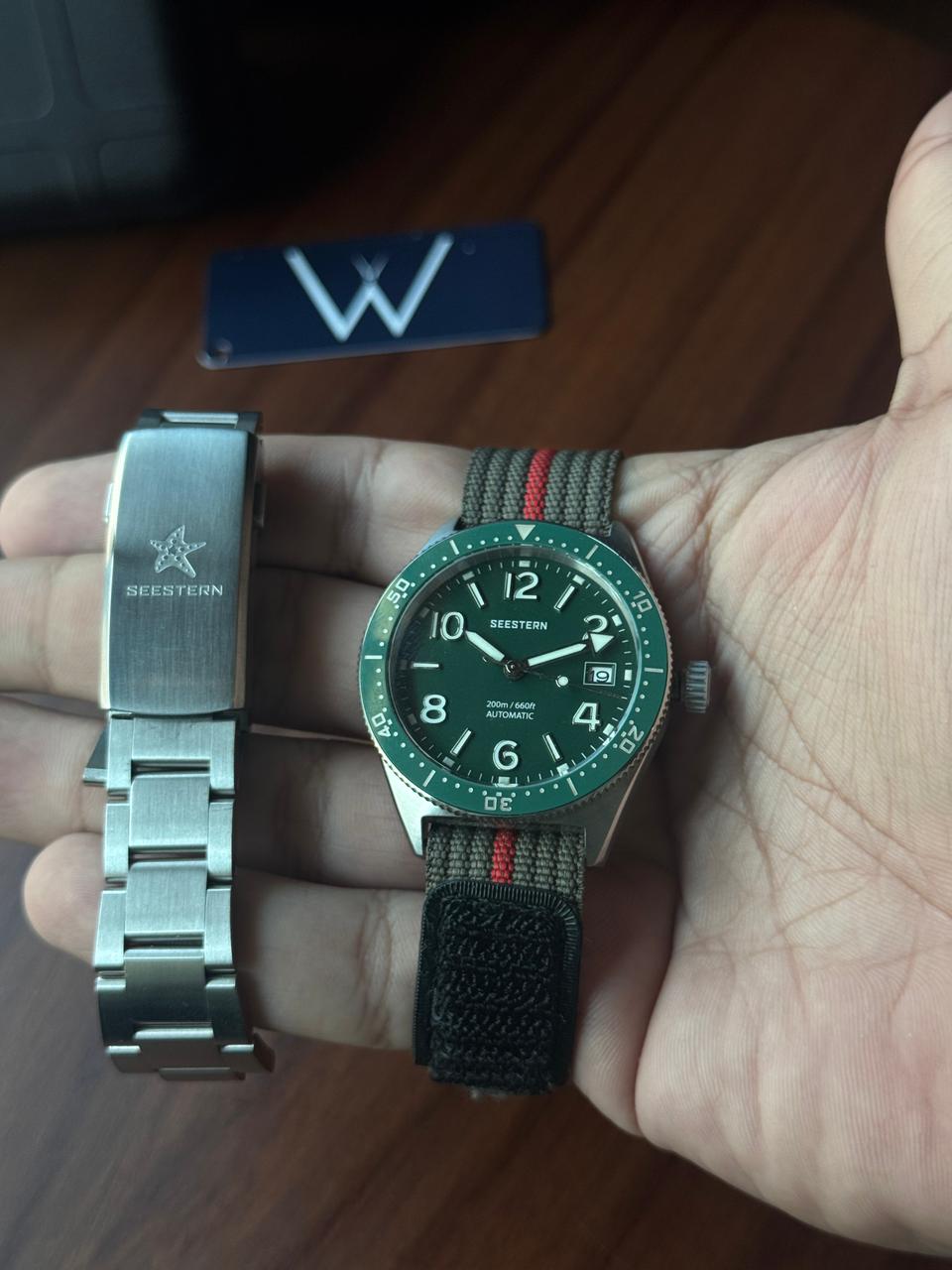 Seestern S434 Professional Diver